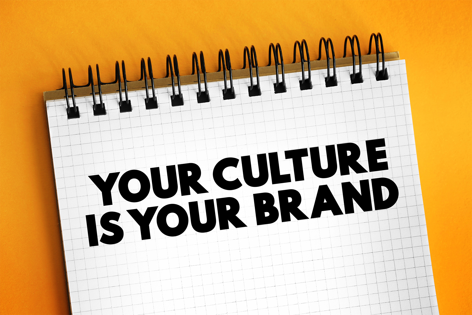 Brand Personality: More Than Just A Logo